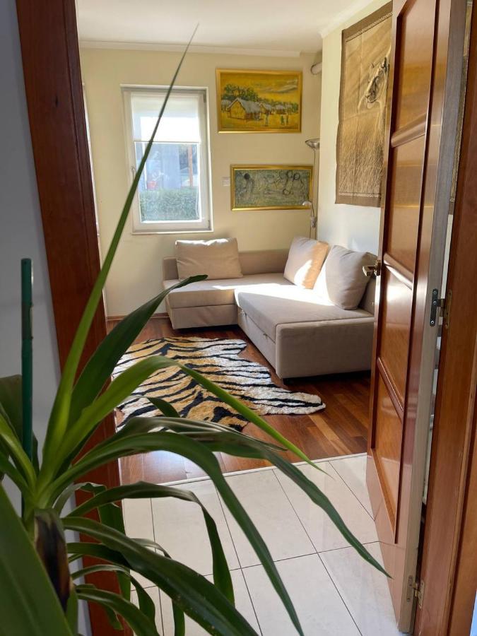 Rosehill Garden Family Villa With A Great Budapest View Budapeste Exterior foto