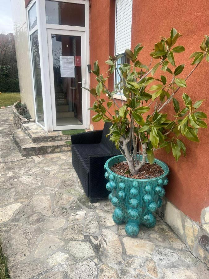 Rosehill Garden Family Villa With A Great Budapest View Budapeste Exterior foto